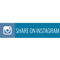 256x256 Instagram Icon Myiconfinder