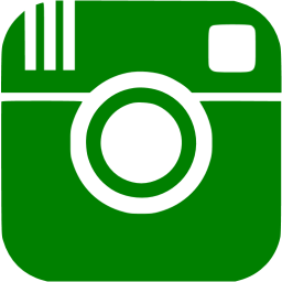 256x256 Green Instagram Icon