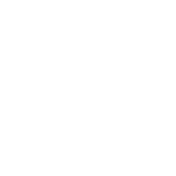 256x256 White Instagram Icon