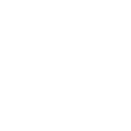 256x256 White Instagram Icon