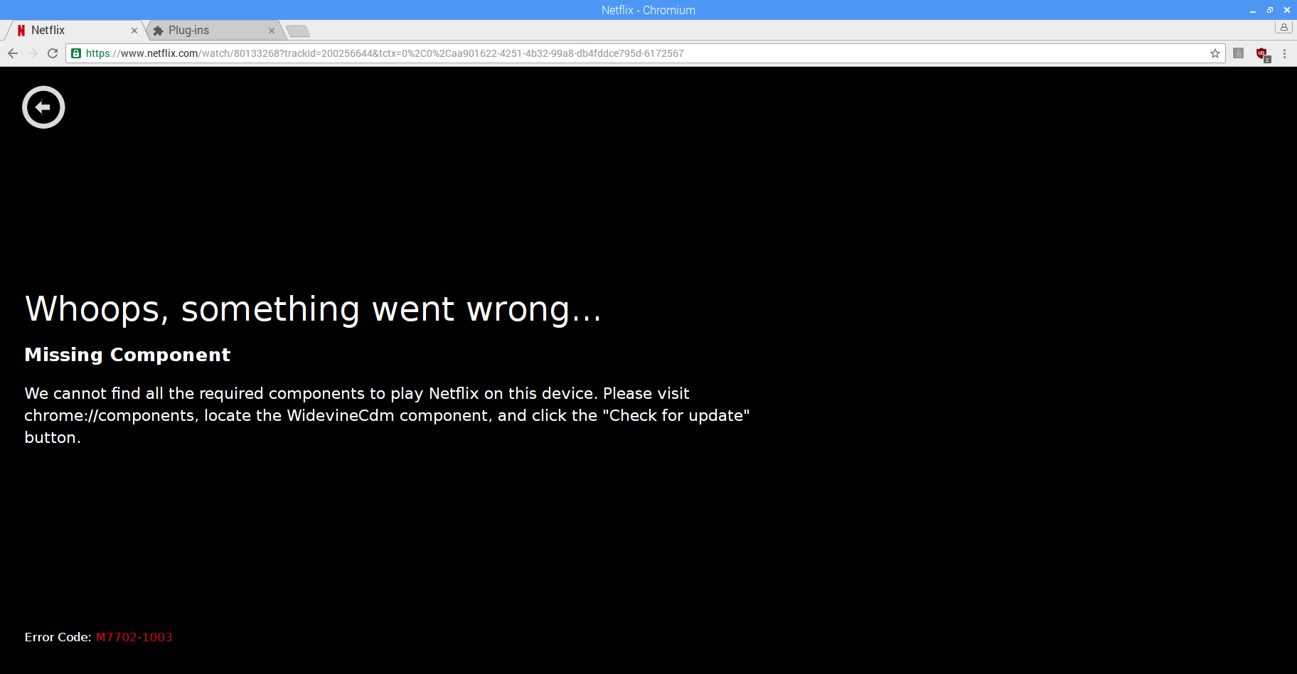 1824x948 How To Watch Netflix On The Raspberry Pi