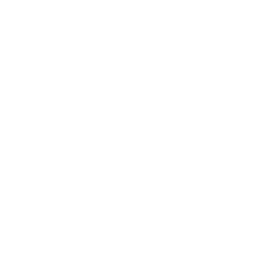 300x300 White Wind Icon Tei Claims Nation Wide Commercial Large Loss