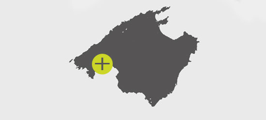 550x248 German Insurance Company Incentive