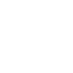 256x256 White Intel Icon