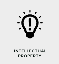 Intellectual Property Icon at Vectorified.com | Collection of ...