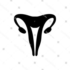 Uterus Icon Internal Organ Vector Human Wallkeeper 300x300 Uterus Icon Internal Organ Vector Human Wallkeeper