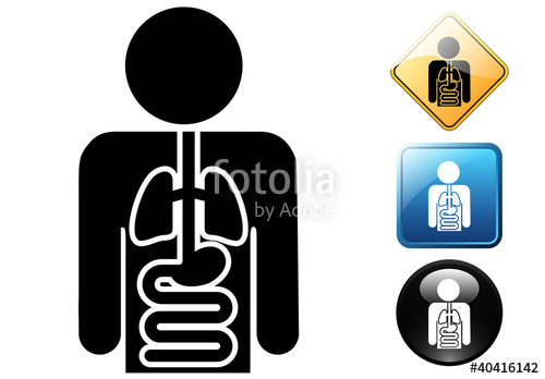 Internal Medicine Pictogram And Icons Stock Image And Royalty 500x348 Internal Medicine Pictogram And Icons Stock Image And Royalty