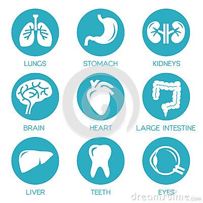 Internal Medicine Icon 400x400 Internal Medicine Icon