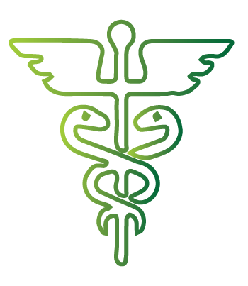 Internal Medicine Icon at Vectorified.com | Collection of Internal ...