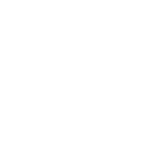 512x512 International Icon