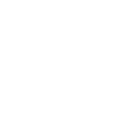 256x256 White Internet Explorer Icon