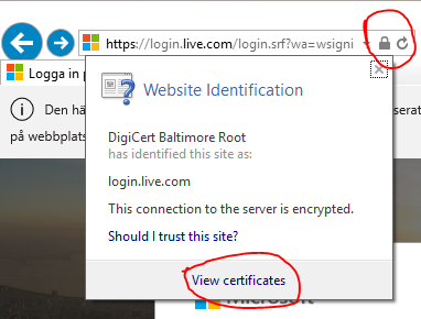 382x290 Can Your Client Or Employer Read Your Https Traffic