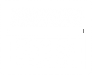 300x243 New Intruder Icon