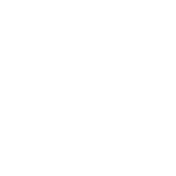 256x256 Free White Invisible Icon