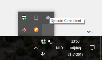 339x200 Systray Icon Is Invisible