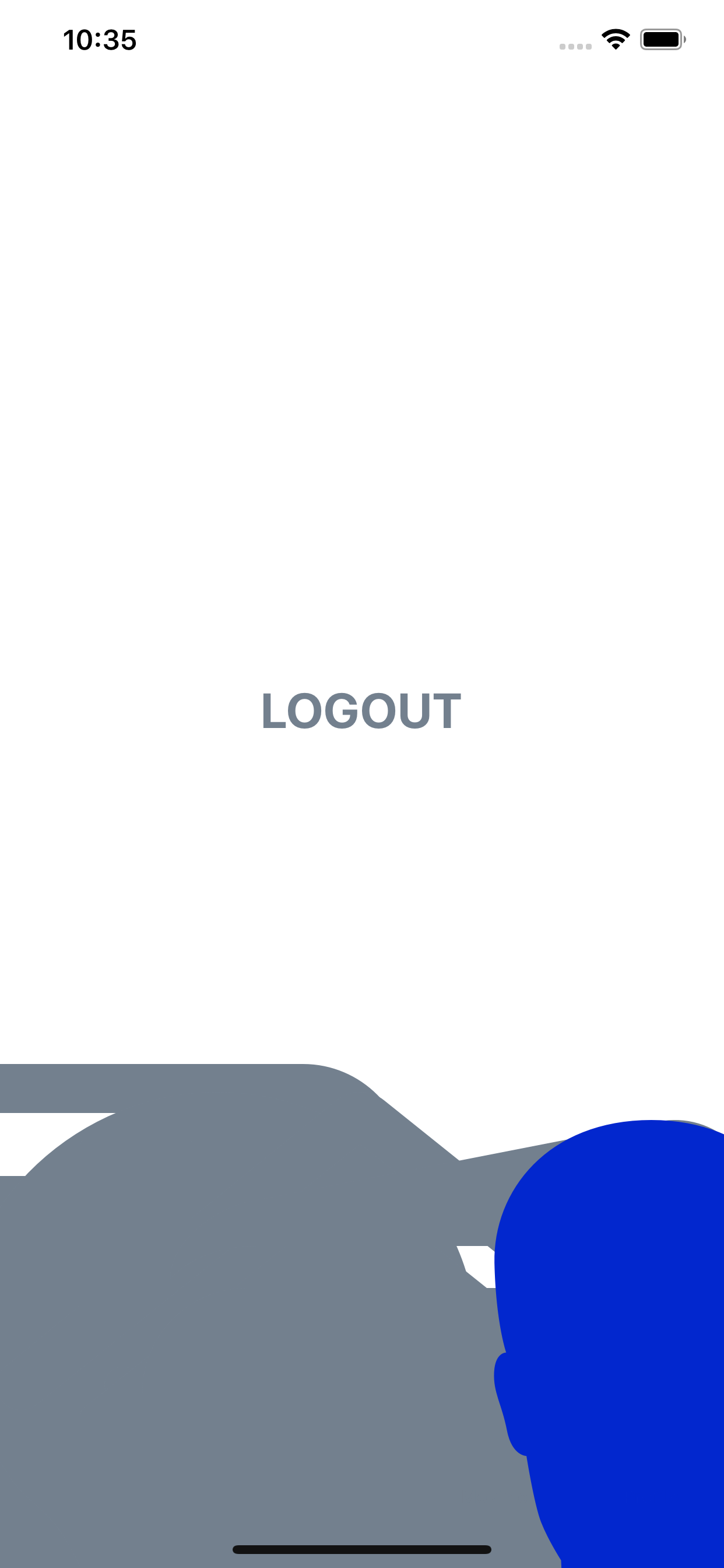 1242x2688 Set Icon Size In Bottomtab Configuration Issue