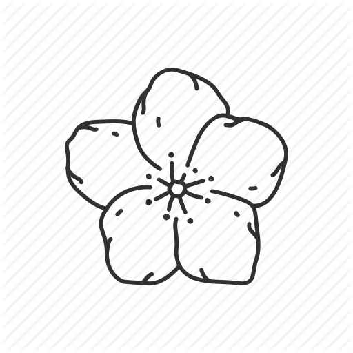 512x512 Flower, Iowa, State, State Flower, State Symbol, Usa, Wild Prairie