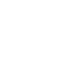 256x256 Free White Ip Address Icon