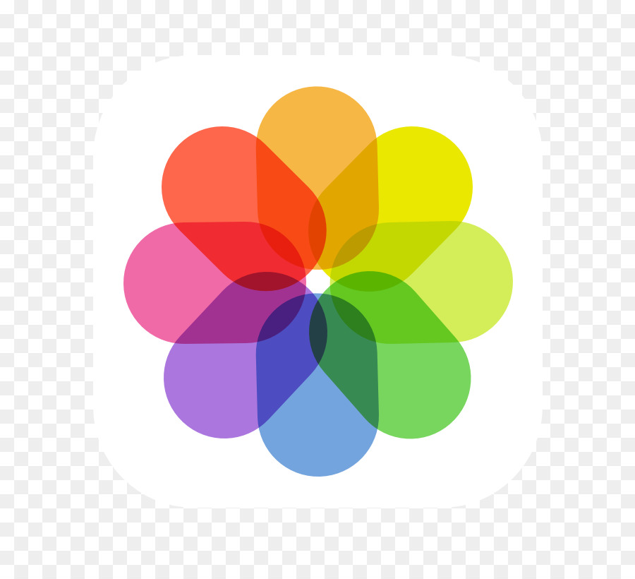 900x820 Flower Line Clipart