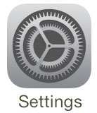 Iphone Settings Icon