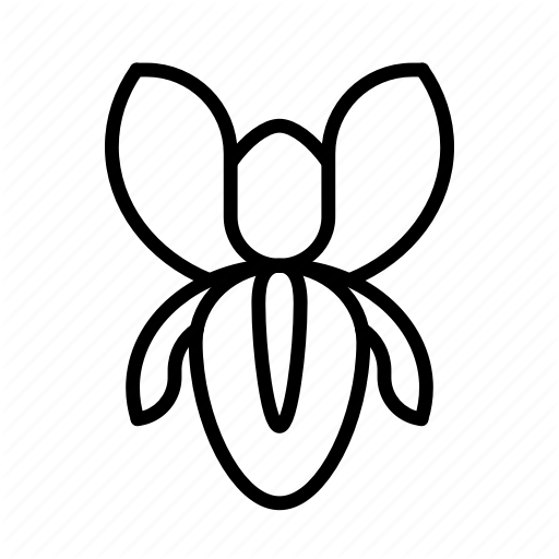 512x512 Blossom, Flower, Iris, Nature, Spring Icon