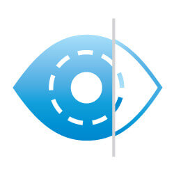 250x250 Iris Recognition Based On Human Intrepretable Features