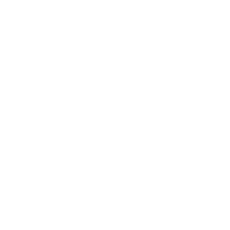 256x256 White Iron Icon