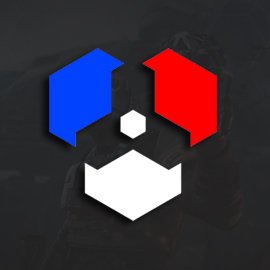 270x270 Ironsight France