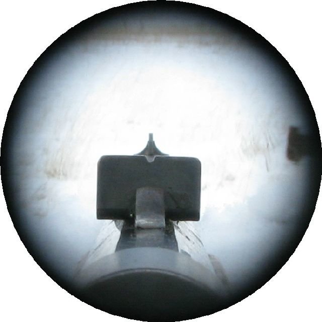 640x640 The Envelope Please! My Best Rifle Sight Award Goes