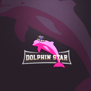 300x300 Dolphin Star Is Recruiting A Player On Ironsight