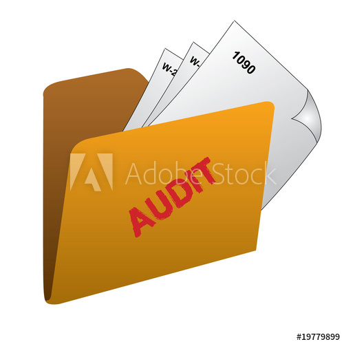 500x500 Irs Audit Folder Icon