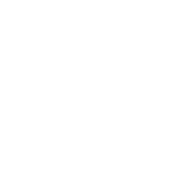 250x250 Fortiisolator