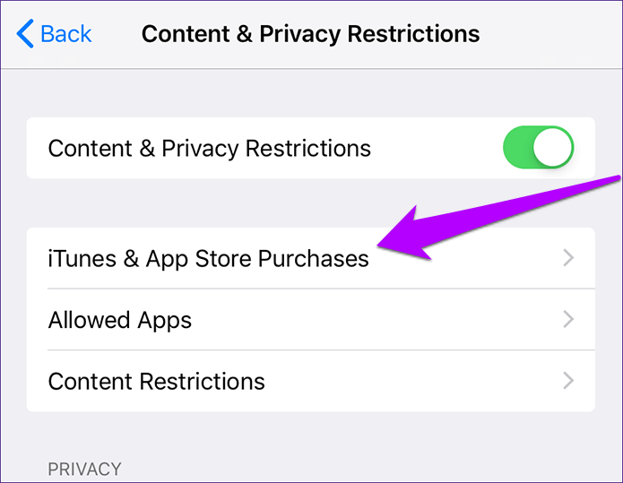 695x539 How To Fix The Missing App Store Issue On Ios