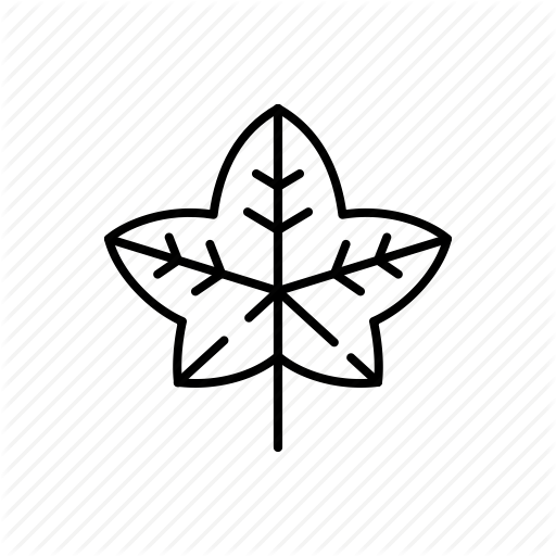 512x512 Ivy, Leaf, Nature Icon