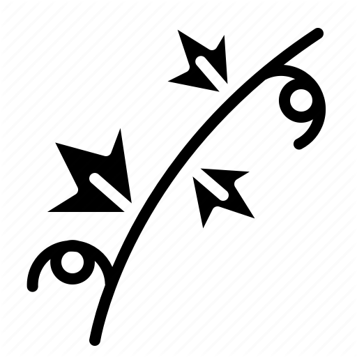 512x512 Food, Fruit, Gourd, Healthy, Ivy, Vegetable Icon