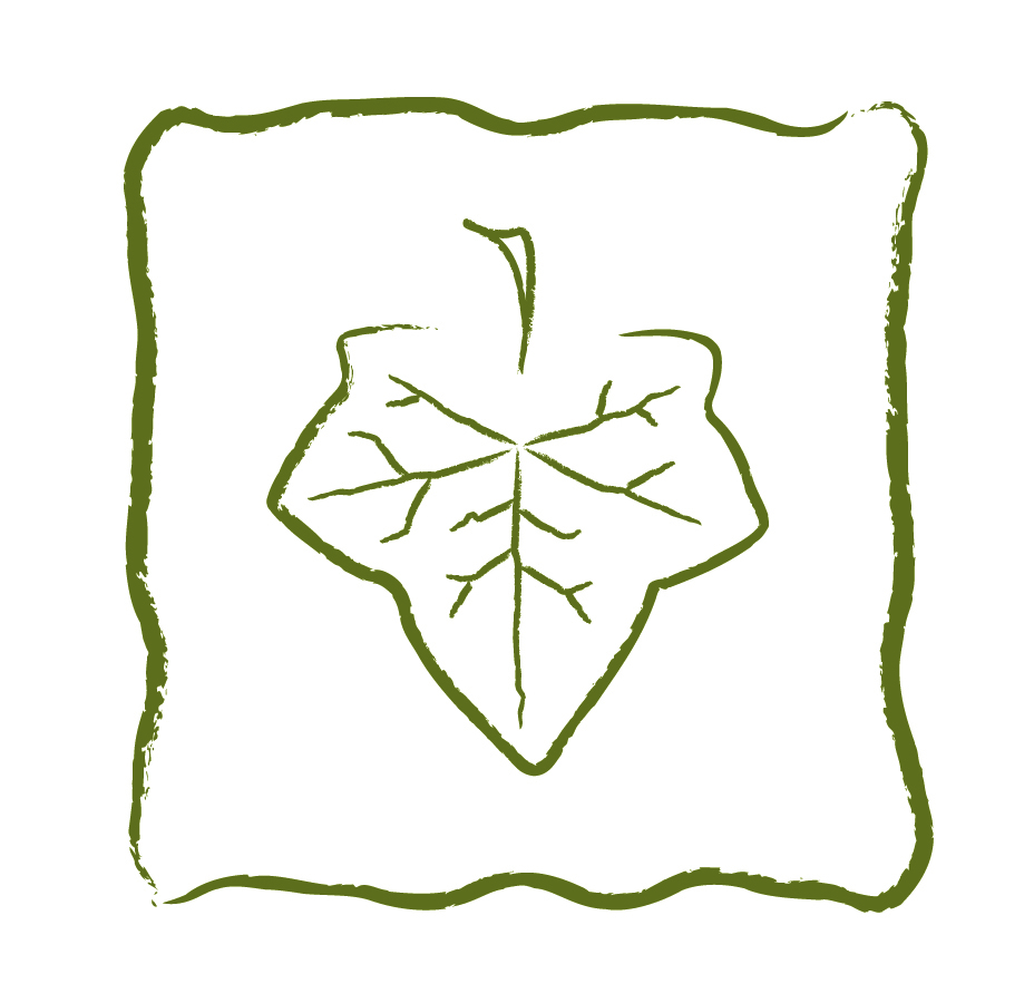 928x891 Leaf Icon Ivy Quad Development, Llc