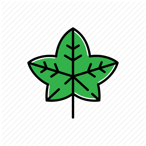512x512 Green, Ivy, Leaf, Nature Icon