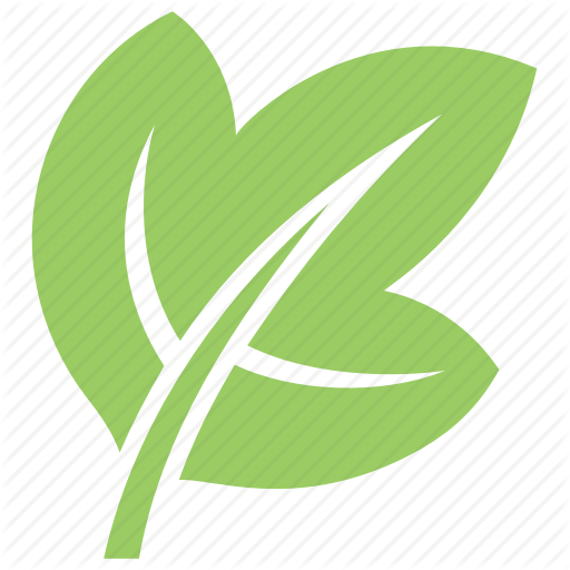 512x512 Green Leaf, Ivy Leaf, Leaf, Leaf Design, Leaf Shape Icon