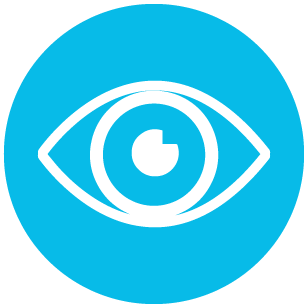 308x308 Vision Icon