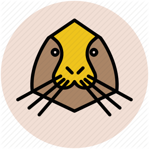 512x512 Animal, Auk, Cartoon Penguin, Jackass Penguin, Penguin, Penguin