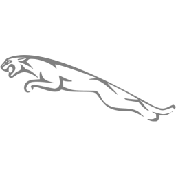 256x256 Gray Jaguar Icon