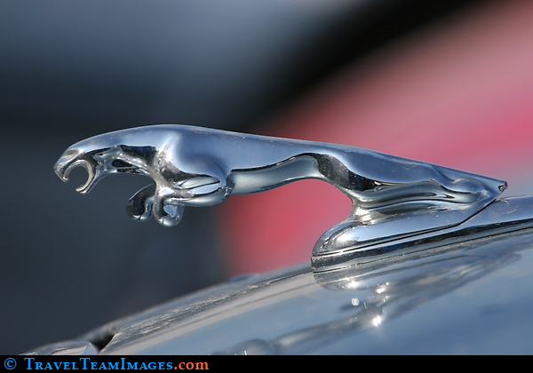 600x420 Jaguar Car Icon Photo From The Travelteamimages Picture Collection