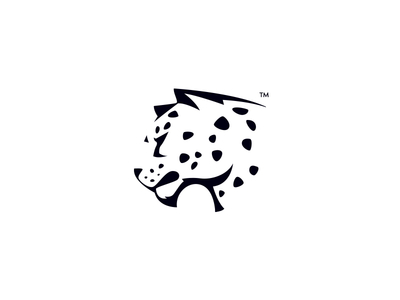 400x300 Jaguar Icon