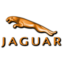 256x256 Jaguar Icon
