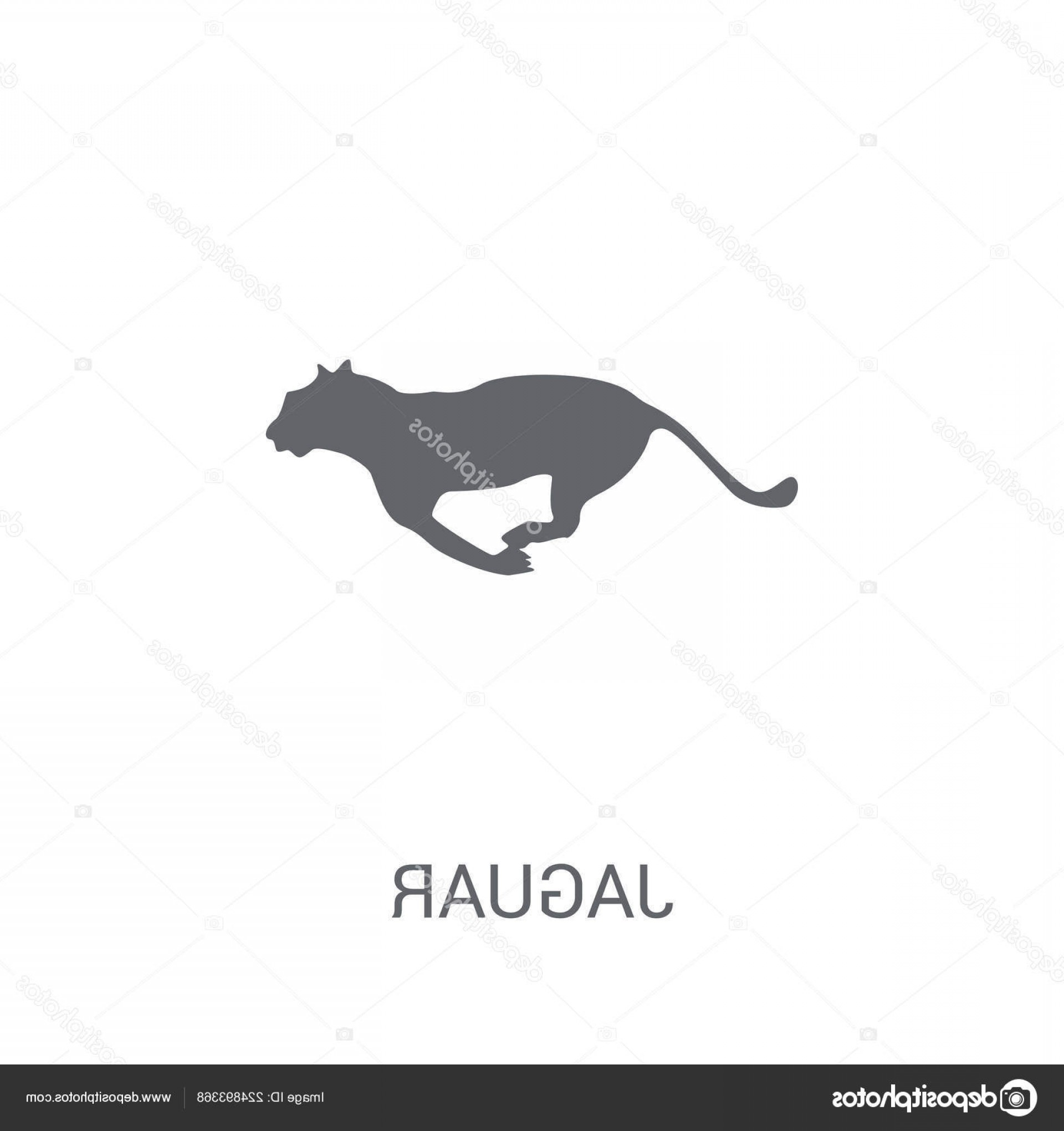1920x2040 Stock Illustration Jaguar Icon Trendy Jaguar Logo Geekchicpro