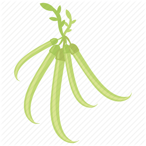 Green Chilli, Hatch Chili, Hot Pepper, Jalapeno, Spicy Chilli Icon 512x512 Green Chilli, Hatch Chili, Hot Pepper, Jalapeno, Spicy Chilli Icon