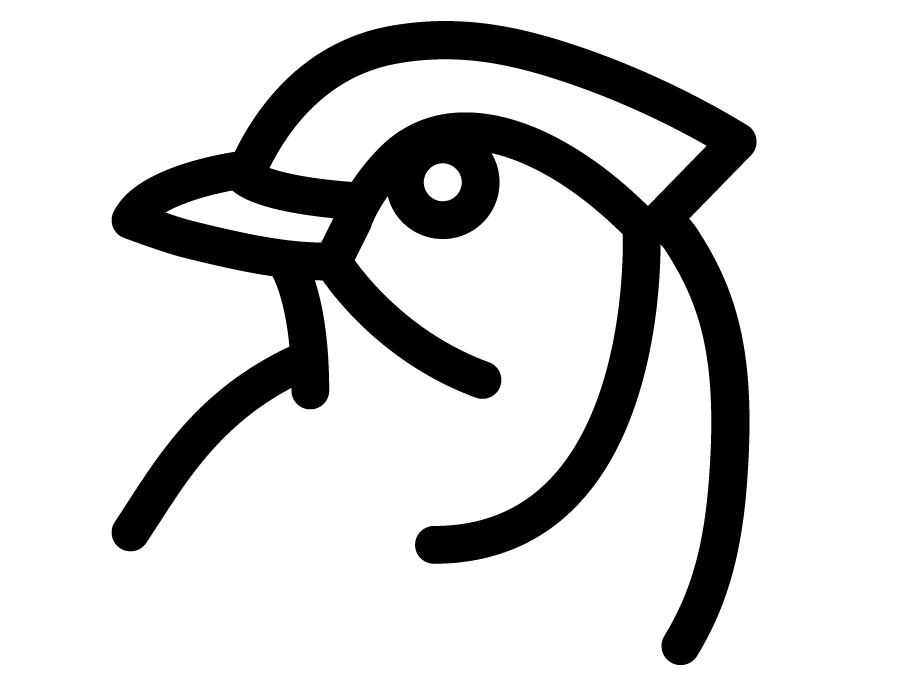 904x678 Blue Jay Icon
