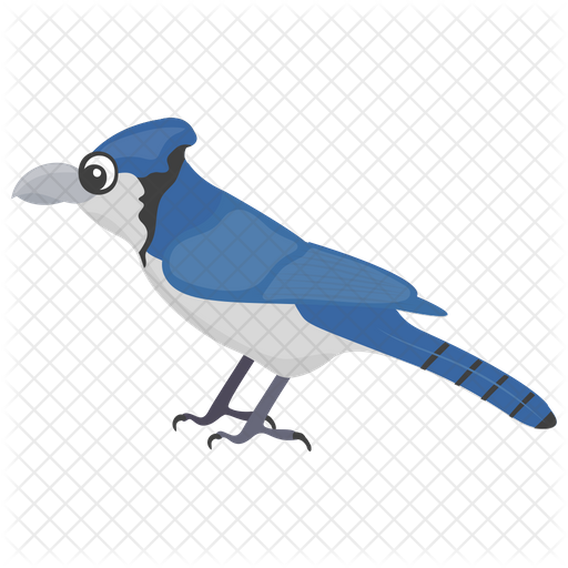 512x512 Blue Jay Icon Of Flat Style
