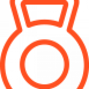 300x300 Trainers Icon