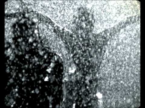 480x360 Icons Jealous Official Video Clip